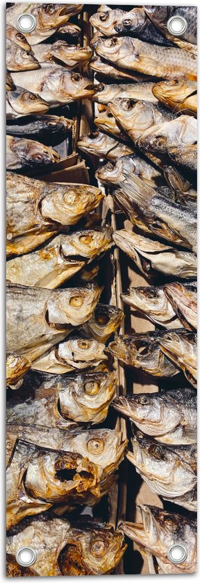 WallClassics - Tuinposter – Verse Vissen op een Vismarkt - 20x60 cm Foto op Tuinposter  (wanddecoratie voor buiten en binnen)