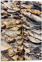 WallClassics - Tuinposter – Verse Vissen op een Vismarkt - 60x80 cm Foto op Tuinposter  (wanddecoratie voor buiten en binnen)