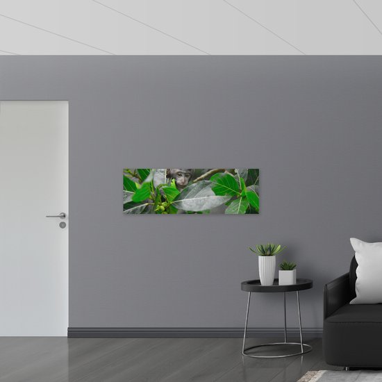 WallClassics - Panneau en mousse PVC - Klein singe entre les feuilles - 120x40 cm Photo sur panneau en mousse PVC