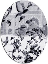 WallClassics - Dibond Ovaal - Vliegende Duiven in de Sneeuw - 51x68 cm Foto op Ovaal (Met Ophangsysteem)