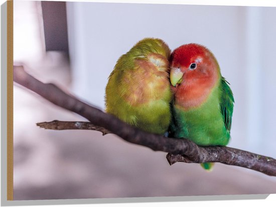 WallClassics - Hout - Twee Verliefde Vogeltjes op een Tak - 80x60 cm - 12 mm dik - Foto op Hout (Met Ophangsysteem)
