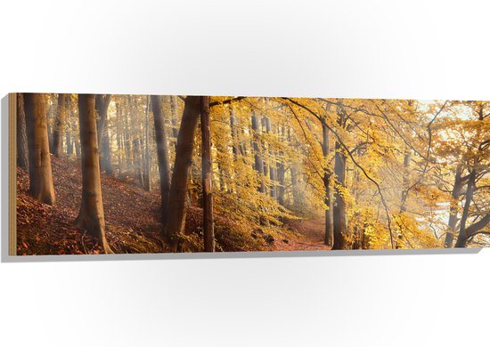 WallClassics - Hout - Zonnestralen tussen Herfstbos - 120x40 cm - 12 mm dik - Foto op Hout (Met Ophangsysteem)