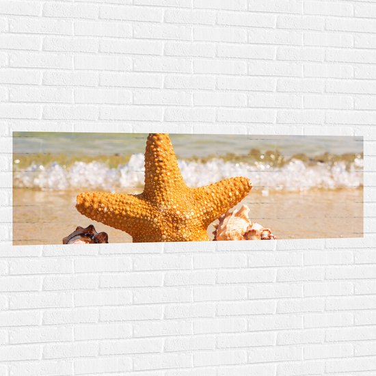 WallClassics - Muursticker - Ster met Schelpjes op het Strand - 150x50 cm Foto op Muursticker