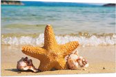 WallClassics - Drapeau - Étoile avec coquillages sur la plage - 120x80 cm Photo sur drapeau en polyester