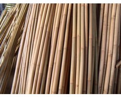 Intergard Bamboestokken bamboepaal tonkin tonkinstokken 240cm 80/90mm per 4 stuks