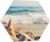 WallClassics - PVC Schuimplaat Hexagon  - Grote Ster aan de Zee - 50x43.5 cm Foto op Hexagon (Met Ophangsysteem)