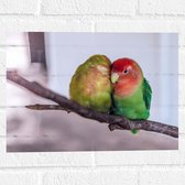 WallClassics - Muursticker - Twee Verliefde Vogeltjes op een Tak - 40x30 cm Foto op Muursticker