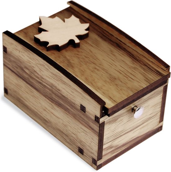 Afbeelding van het spel Radbox secret box puzzel van hout