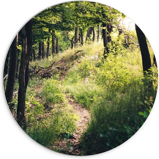 WallClassics - Cercle mural en panneau de mousse PVC - Arbres sur Berg Up - Photo 70x70 cm sur cercle mural (avec système de suspension)