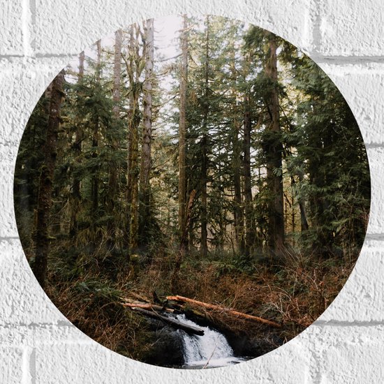 WallClassics - Muursticker Cirkel - Kleine Natuur Waterval in het Bos - 30x30 cm Foto op Muursticker
