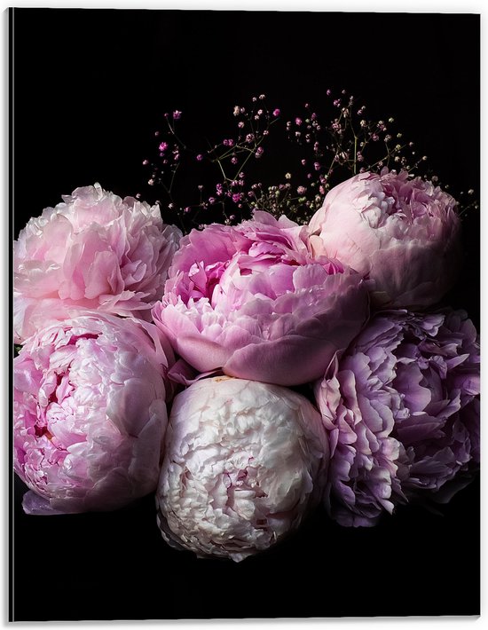 WallClassics - Dibond - Fleurs roses/violettes sur fond noir - Photo 30x40 cm sur aluminium (avec système de suspension)