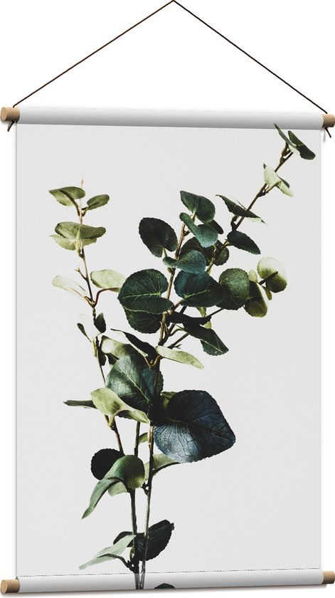 WallClassics - Textielposter - Groene Smalle Plant tegen Witte Achtergrond - 60x90 cm Foto op Textiel - WallClassics