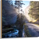 WallClassics - Hout - Zonnestralen door Bomen bij Weg - 80x80 cm - 12 mm dik - Foto op Hout (Met Ophangsysteem)