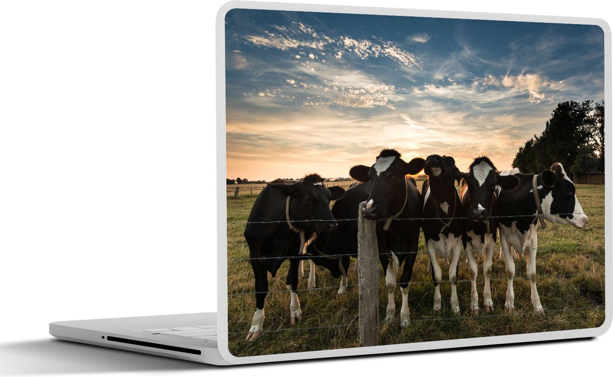 Laptop sticker - 10.1 inch - Dieren - Koe - Koeien - 25x18cm - Laptopstickers - Laptop skin - Cover