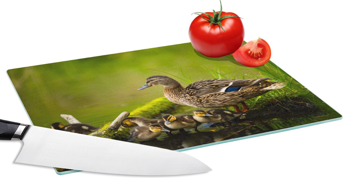 Glazen Snijplank - 28x20 - Eend - Vogels - Water - Tak - Mos - Snijplanken Glas