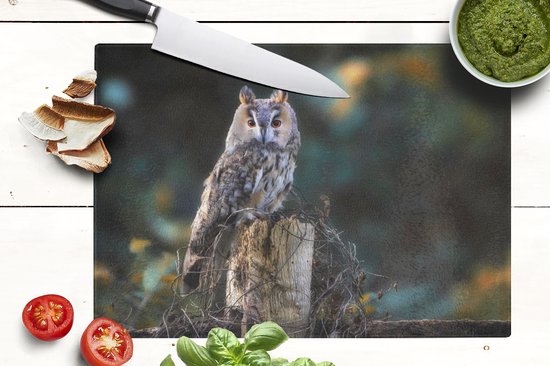 Planche à découper en Verres - 39x28 - Hibou - Automne - Vogel - Branches - Planches à découper en Glas