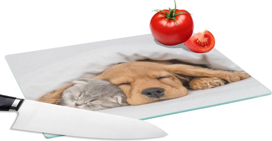Glazen Snijplank 40x30 cm met Mozaïek Print - Krasbestendige Spatwand & Onderzetter