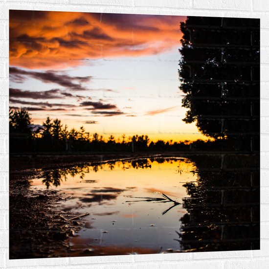 WallClassics - Muursticker - Crépuscule sur les eaux - 100x100 cm Photo sur Muursticker