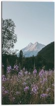 WallClassics - Dibond - Roze Bloesemtakken in Berggebied - 50x100 cm Foto op Aluminium (Met Ophangsysteem)