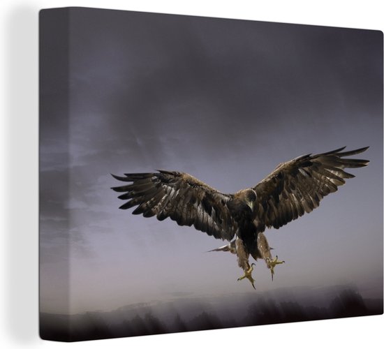 Aigle royal volant sur fond gris Toile 80x60 cm - Tirage photo sur toile (Décoration murale salon / chambre)