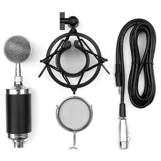 Studio condensator microfoon - direct op PC (5v) of 48v fantoomvoeding |  bol.com