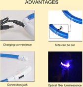 LED Honden Halsband - VEILIGHEID - USB OplaadBaar - Geen Batterijen nodig - Blauw 20 - 70 CM