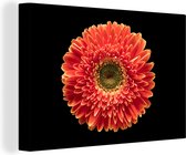 Une fleur de gerbera orange sur une toile de fond noir 90x60 cm - Tirage photo sur toile (Décoration murale salon / chambre) / Peintures Fleurs sur toile