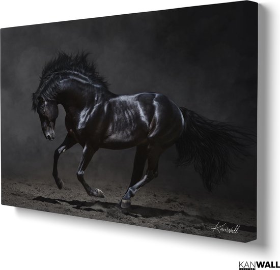 Luxe Canvas Schilderij Black Horse | 60x90 | Woonkamer | Slaapkamer | Kantoor | Muziek | Design | Art | Modern | ** 4CM DIK! 3D EFFECT**