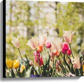 WallClassics - Canvas  - Mix van gekleurde Bloemen in Landschap - 60x60 cm Foto op Canvas Schilderij (Wanddecoratie op Canvas)