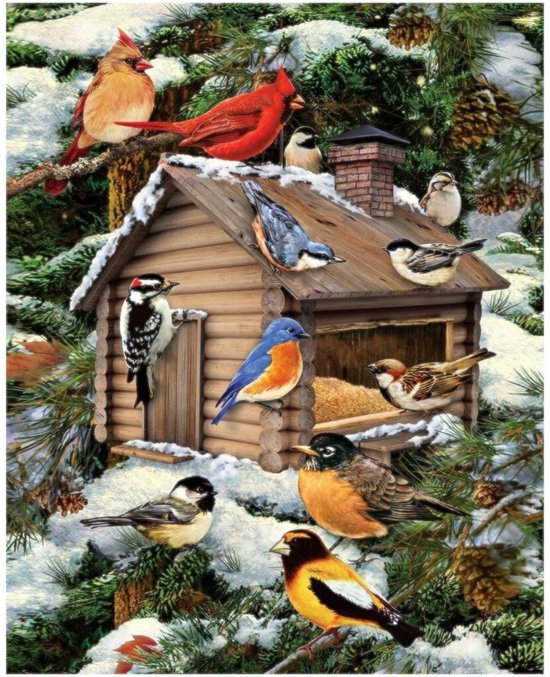 TOPMO- Winter met vogels - Diamond painting pakket- HQ Diamond Painting - VOLLEDIG dekkend - Diamant Schilderen - voor Volwassenen – ROND - 40X50CM