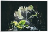 WallClassics - PVC Schuimplaat- Groen Plantje Achter Stromend Water in een Grot - 60x40 cm Foto op PVC Schuimplaat