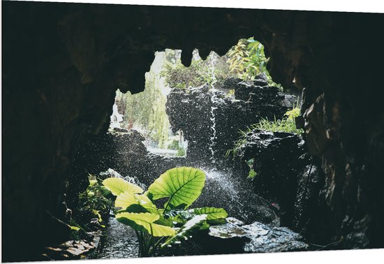 WallClassics - Dibond - Groen Plantje Achter Stromend Water in een Grot - 150x100 cm Foto op Aluminium (Met Ophangsysteem)