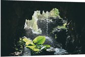 WallClassics - PVC Schuimplaat - Groen Plantje Achter Stromend Water in een Grot - 120x80 cm Foto op PVC Schuimplaat (Met Ophangsysteem)