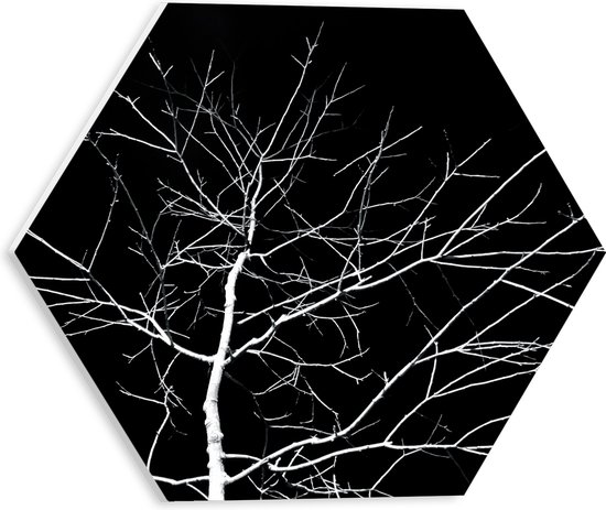 WallClassics - PVC Schuimplaat Hexagon  - Kale Witte Boom met Zwarte Achtergrond - 30x26.1 cm Foto op Hexagon (Met Ophangsysteem)