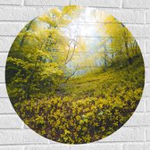 WallClassics - Muursticker Cirkel - Begroeide Heuvel in het Bos - 70x70 cm Foto op Muursticker