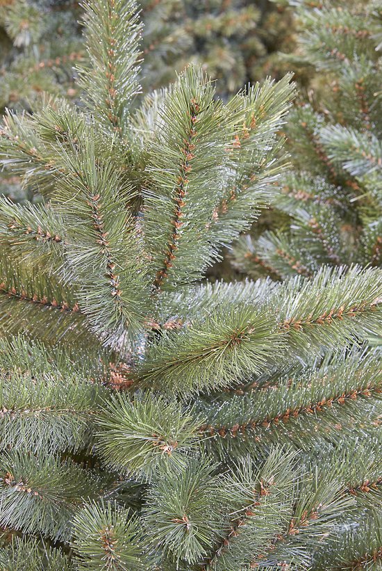 Close-up van de groene kunstkerstboomnaalden met witte puntjes.