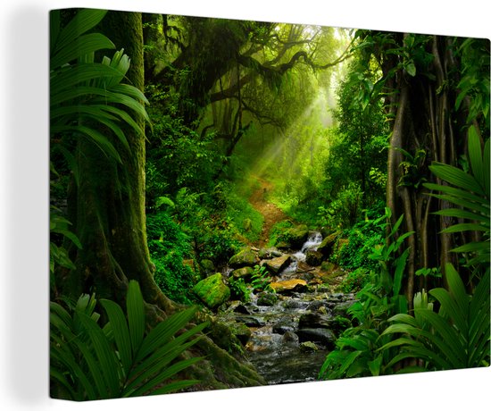 Canvas - Canvas jungle - Zonlicht - Bomen - Takken - Jungle - Kamer decoratie - 150x100 cm