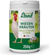 HÜHNER Land - Weidenkruiden voor Kippen - Natuurlijke hoogwaardige en geselecteerde kruiden - 250g