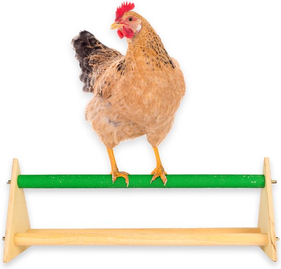 Perchoir à poulet - Pour poulailler - poulailler avec enclos - balançoire à  poulet -... | bol.com