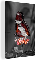 Canvas - Dieren - Vlinder - Bloemen - Natuur - Oranje - Woonkamer - 40x60 cm - Canvas doek - Schilderijen op canvas