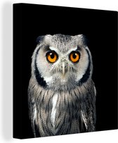 Canvas - Dieren - Uil - Vogel - Oranje - Zwart - Canvasdoek - 20x20 cm - Schilderijen op canvas - Muurdecoratie