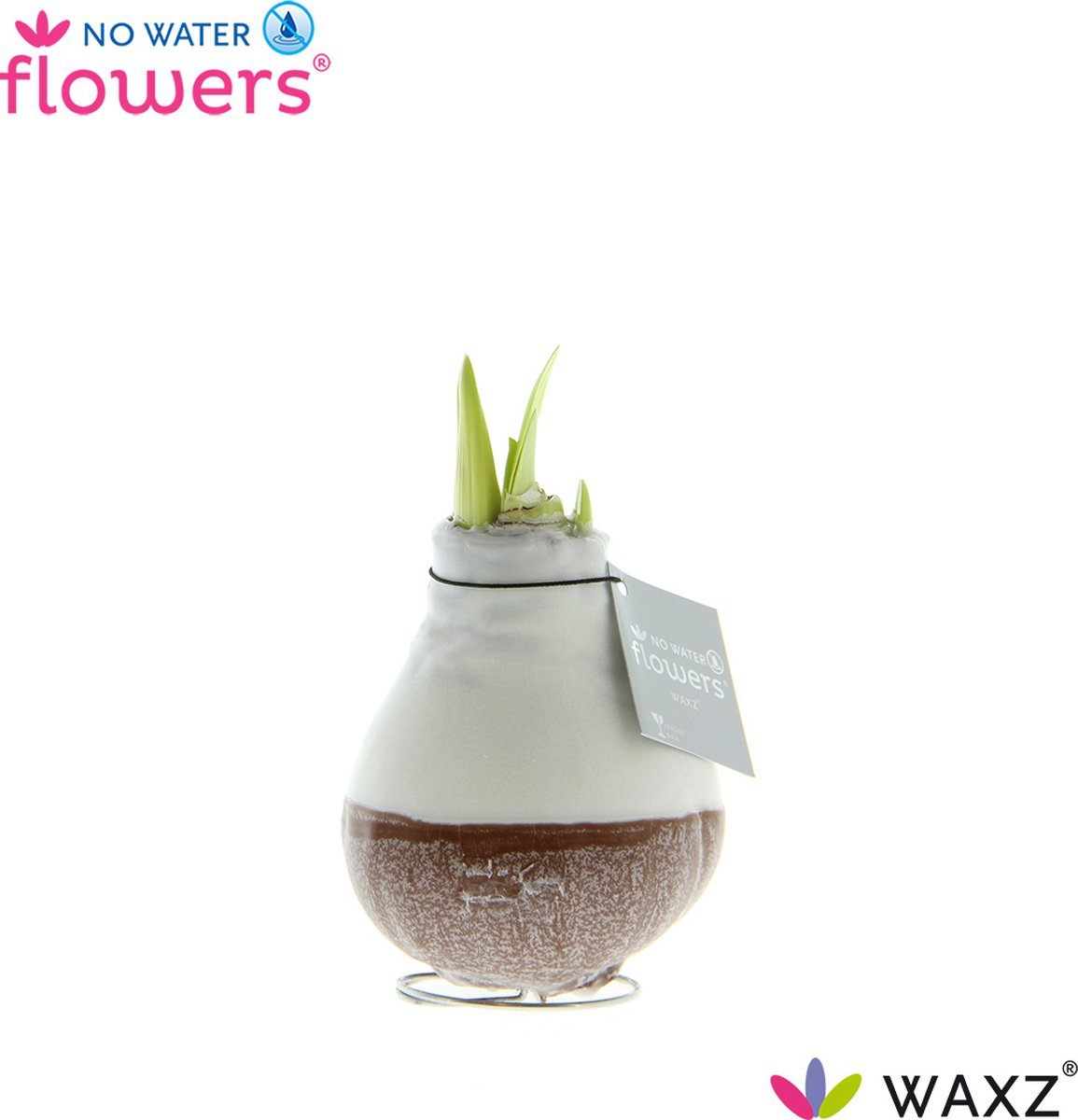 No Water Flowers® Waxz® Dipz Brown