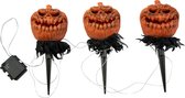 Europalms Halloween Kürbisse mit Erdspieß, 3er-Set, 39cm - Halloweendecoratie