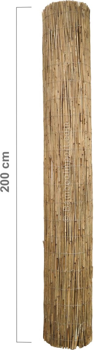 Bamboo Import Europe Rietmat Ongepeld 600 x 200 cm