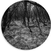 WallClassics - Cercle mural en panneau de mousse PVC - Branches dans la forêt Zwart / Wit - 60x60 cm Photo sur cercle mural (avec système d'accrochage)