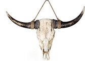 Skull Buffel Schedel - Skull - Wanddecoratie - Muurdecoratie - 24 cm hoog