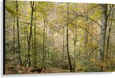 WallClassics - Toile - Arbres sur une pente dans une forêt - 120x80 cm Photo sur Toile Peinture (Décoration murale sur Toile)