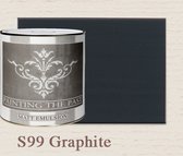 Painting the Past Matt Emulsions 2,5 liter Graphite (S99)