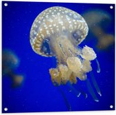 WallClassics - Tuinposter – Witte Kwal onderwater - 80x80 cm Foto op Tuinposter  (wanddecoratie voor buiten en binnen)