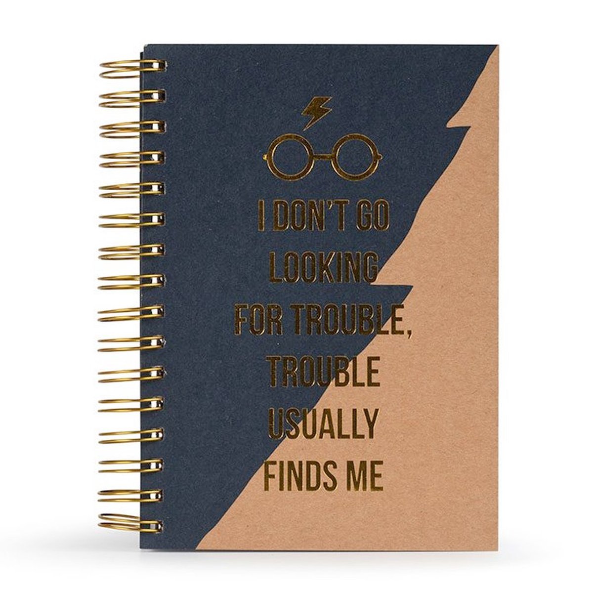 Pyramid International Harry Potter Notitieboek Premium A5 Trouble Usually Finds Me Blauw/Bruin